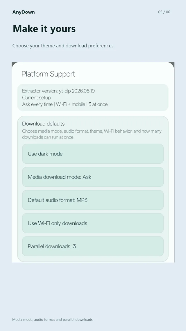 AnyDown preferences